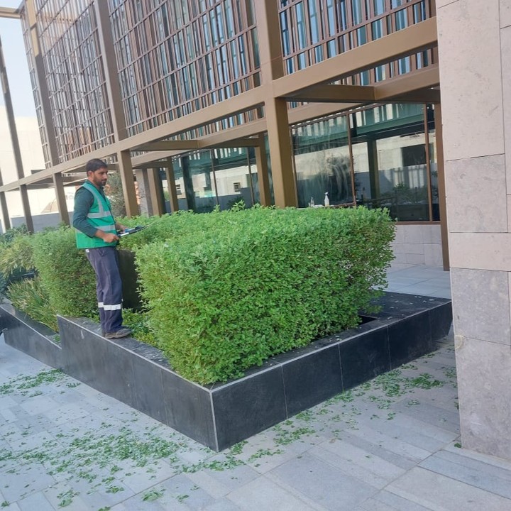 456472616_388468247686693_7615548574356800151_n