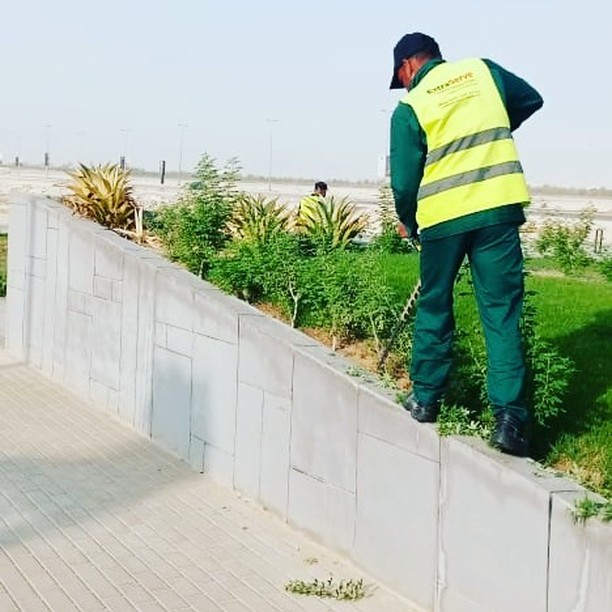 456563566_1588976841698677_9167124737929220106_n