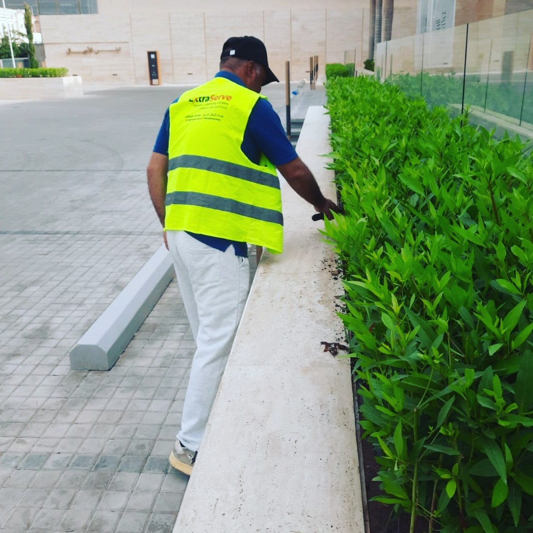 456716643_1503557240281843_3498545586077582742_n