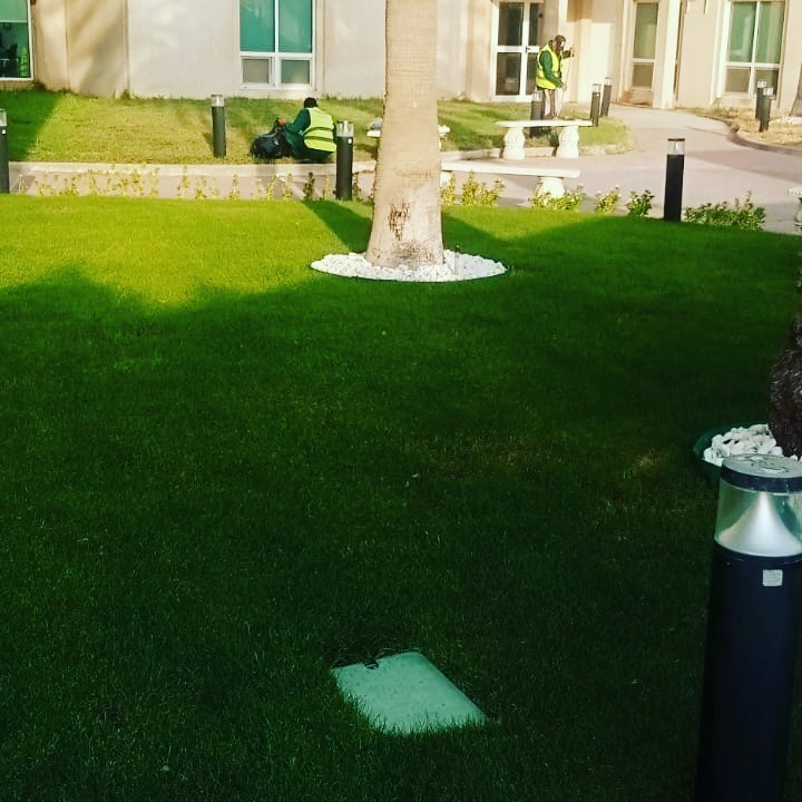 457079082_495922583054618_8051529920317270124_n