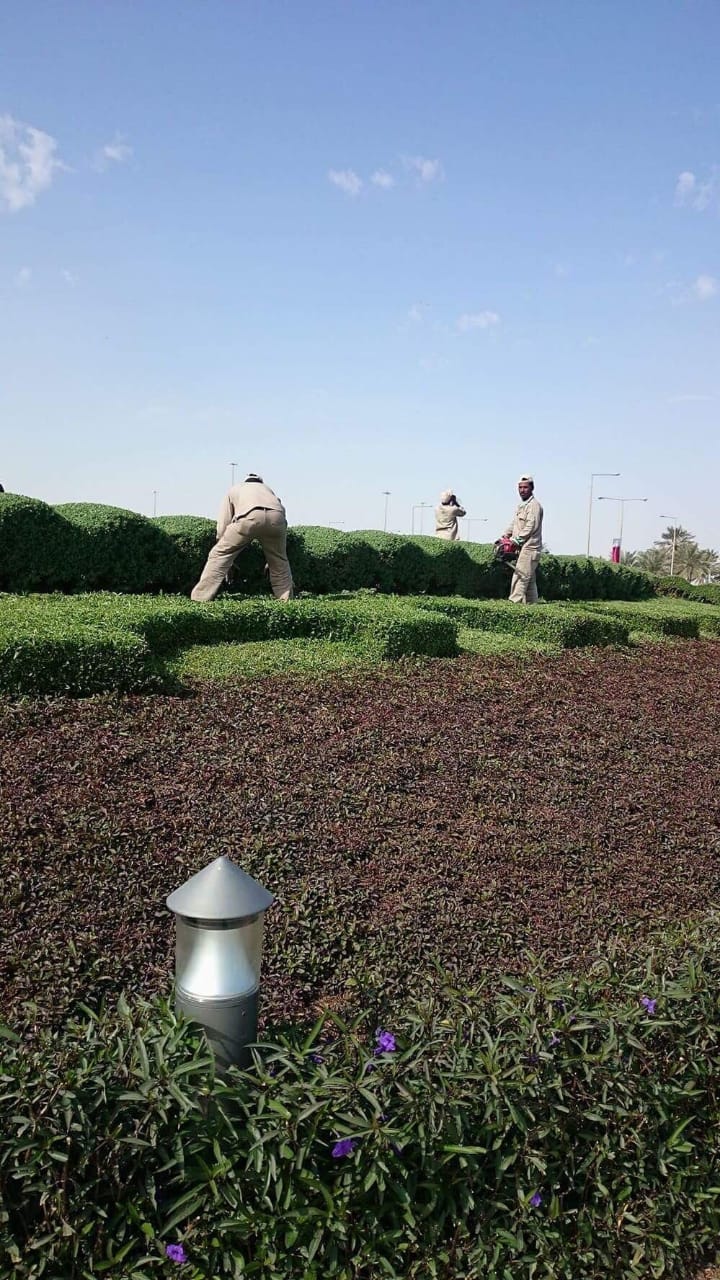 WhatsApp Image 2024-03-24 at 12.29.11 PM