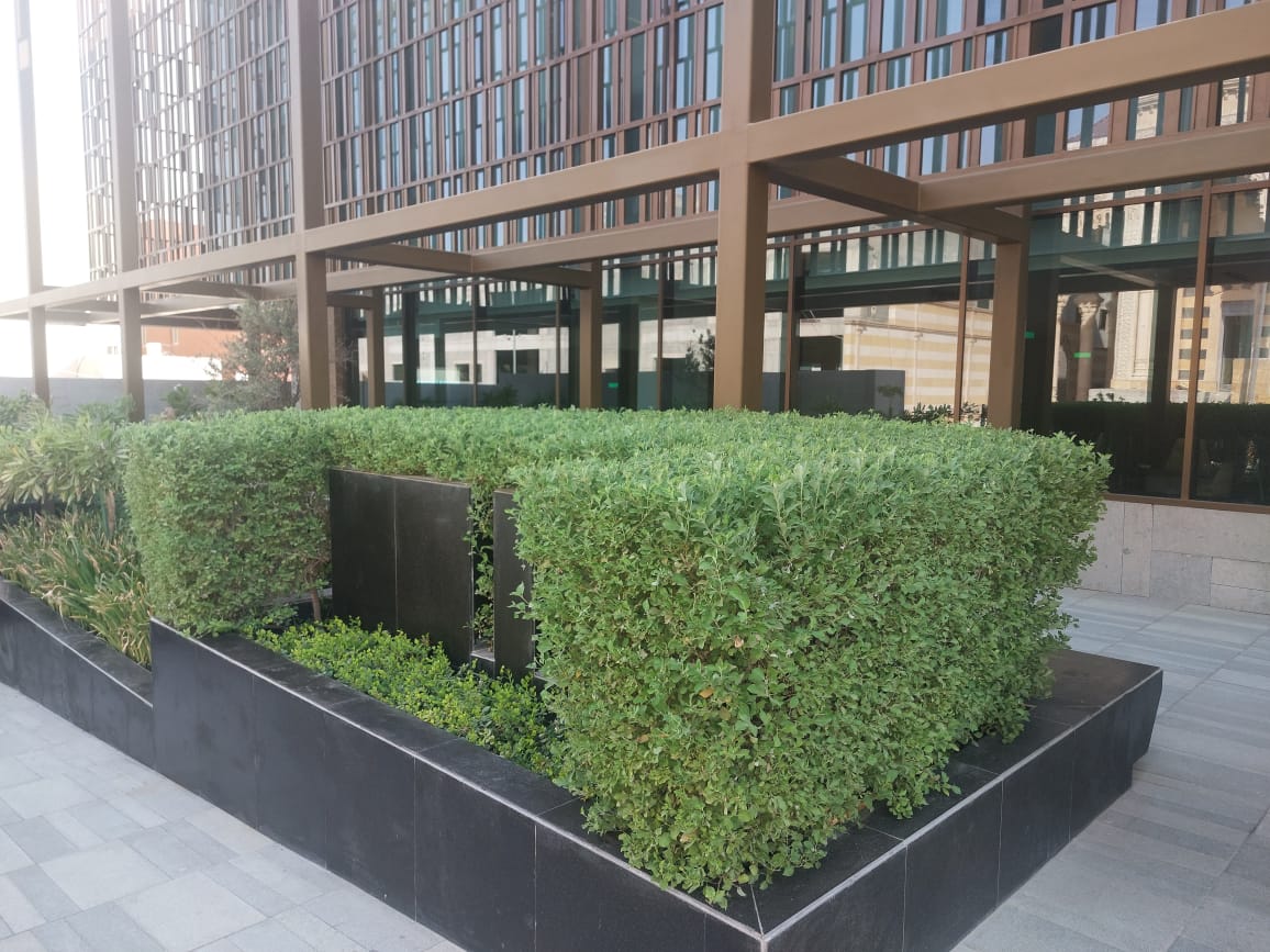 WhatsApp Image 2024-08-25 at 08.44.35_04715768