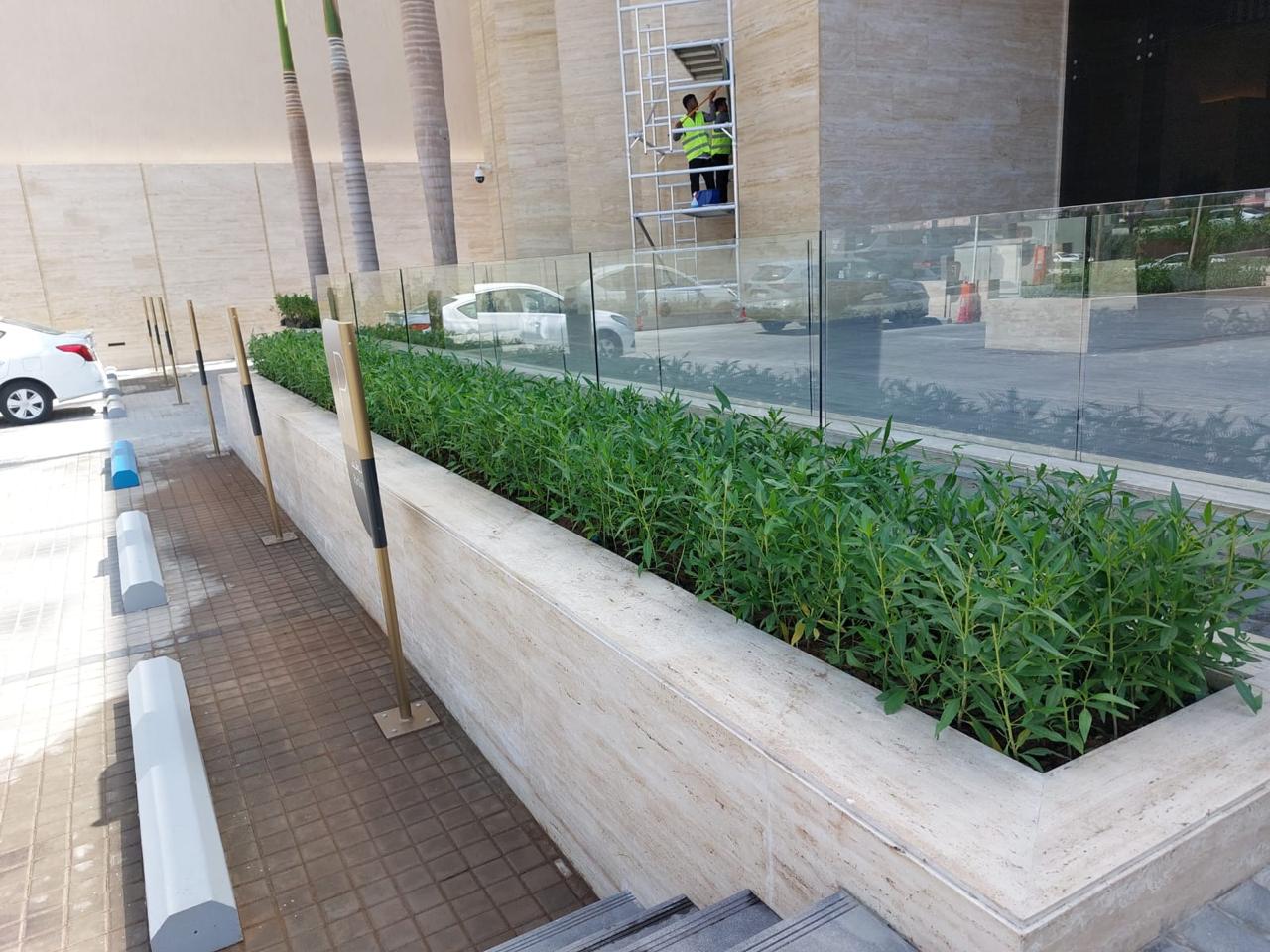 WhatsApp Image 2024-08-26 at 11.58.16_6485a903